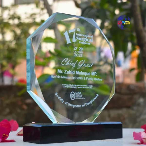 Premium Customized Crystal Glass Award Crest